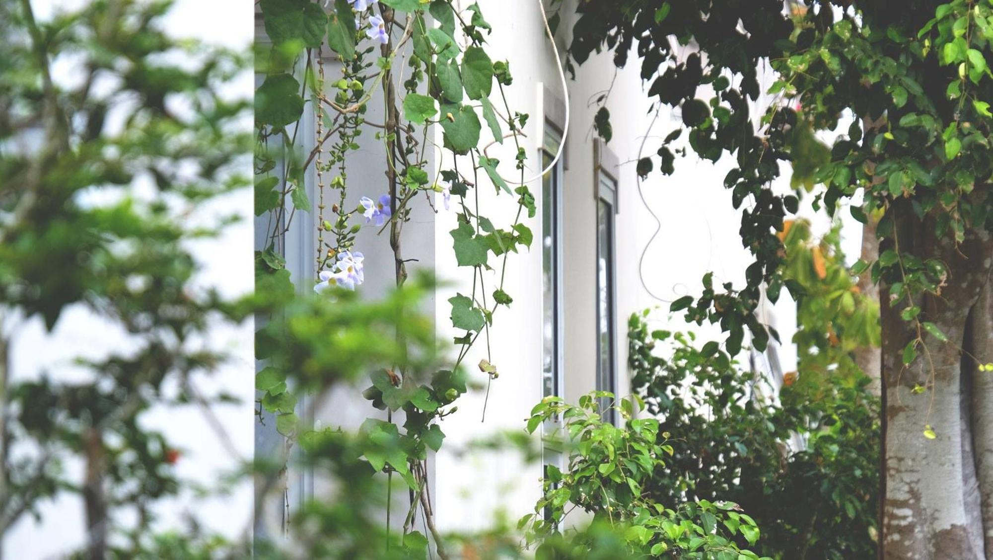 Vila Basi Nguyet Hang Esterno foto
